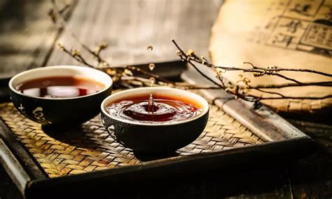 普洱熟茶散茶和茶餅哪個好(普洱熟茶散茶)縮略圖