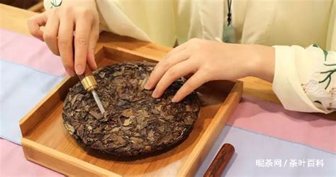 茶餅的正確撬法(茶餅的正確撬法視頻)縮略圖