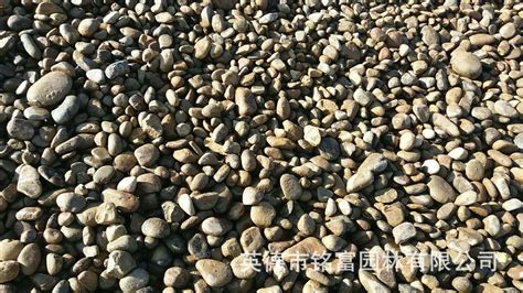 鵝卵石哪里有賣的(鵝卵石哪里有賣的安吉)縮略圖