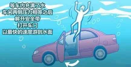 玩具車掉水(玩具車掉水里視頻)縮略圖