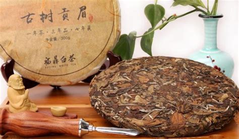 茶餅一般是什么茶(白茶茶餅一般是什么茶)縮略圖