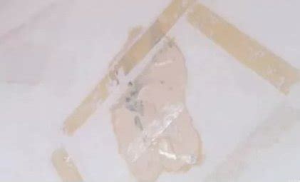 藍丁膠粘墻上怎么去除(藍丁膠粘墻上的印子怎么去除)縮略圖