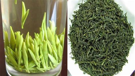 毛尖茶的功效與作用,毛尖茶的功效與作用以及副作用縮略圖