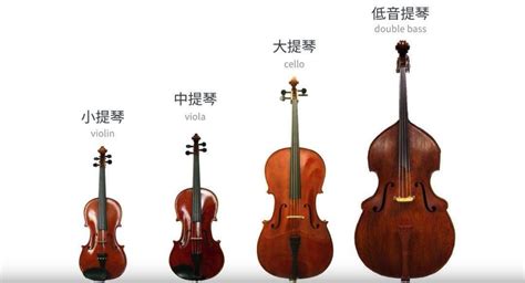 低音提琴和大提琴的區別,低音提琴和大提琴的區別在哪里縮略圖