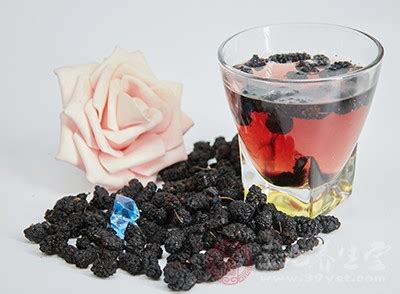 桑椹酒的泡法(桑椹酒的泡法和制作方法)縮略圖