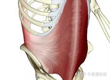 束腰特別緊(束腰太緊)縮略圖
