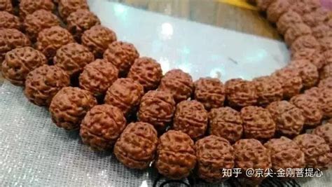 金剛菩提怎么清理干凈(剛買的金剛菩提怎么清理干凈)縮略圖