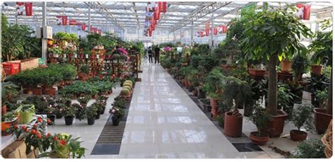 盆景花卉批發市場,附近盆景花卉批發市場縮略圖