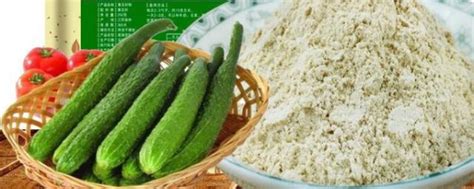 黃瓜籽粉的功效與作用,黃瓜籽粉的功效與作用是縮略圖