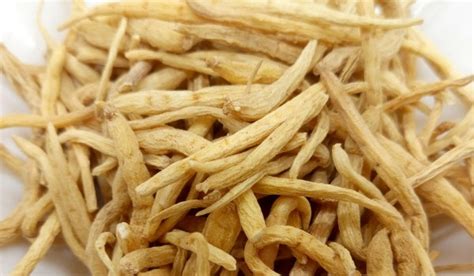 太子參圖片(太子參圖片 全圖)縮略圖