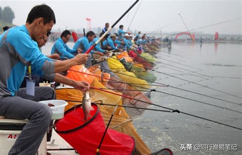 魚竿5h和6h什么意思,5h和6h魚竿什么區別縮略圖