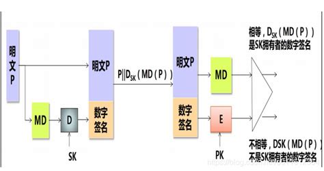 數字簽名過程(數字簽名過程和驗證過程)縮略圖