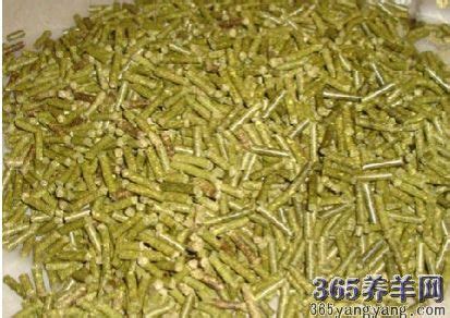 牛羊飼料前十名廠家(牛羊飼料前十名廠家排名)縮略圖