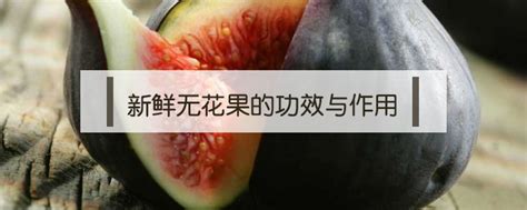 無花果干的功效與作用(無花果干的功效與作用吃法)縮略圖