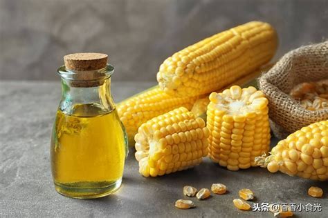 玉米油和玉米胚芽油有什么區別,玉米油和玉米胚芽油有什么區別嗎縮略圖