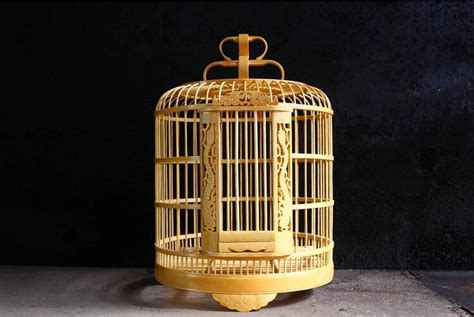 鳥(niǎo)籠子圖片大全,鳥(niǎo)籠水槽怎么安裝縮略圖