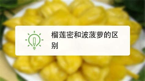 木菠蘿粘液怎么洗掉,木菠蘿粘液怎么洗掉啊縮略圖