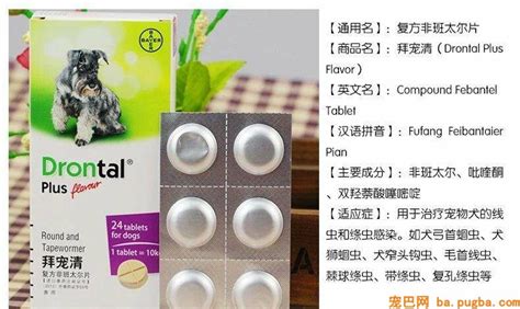 拜寵清(拜寵清驅蟲的正確吃法)縮略圖
