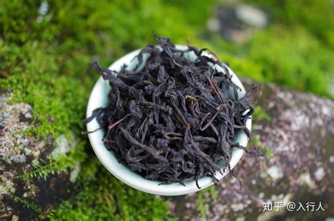正山小種茶介紹,正山小種茶特點介紹縮略圖 正山小種茶介紹,正山小種茶特點介紹縮略圖