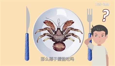 椰子蟹能吃嗎,椰子蟹能吃嗎肚子里是屎嘛縮略圖