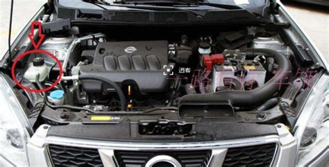 汽車水箱更換多少錢(汽車水箱換一個多少錢)縮略圖