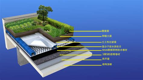 排水板廠家聯(lián)系電話,排水板廠家聯(lián)系電話號(hào)碼縮略圖