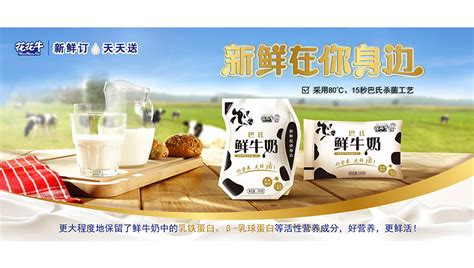 花花牛純牛奶多少錢一箱(花花牛純牛奶多少錢一箱兩提)縮略圖
