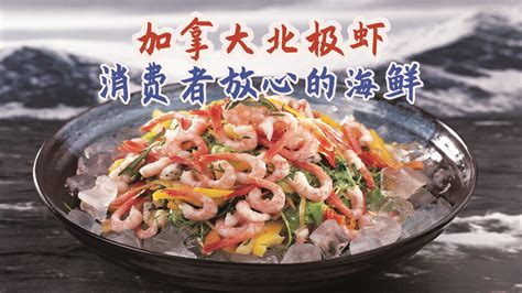 北極蝦直播賣貨(北極蝦直播賣貨第一名)縮略圖