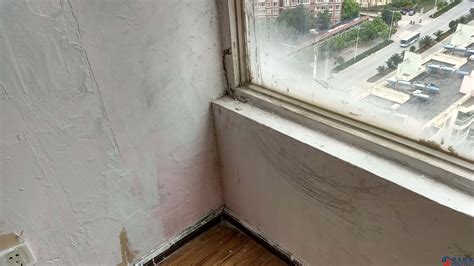 窗臺滲水最簡單的處理方法(外墻滲水到內墻如何從內墻補救)縮略圖