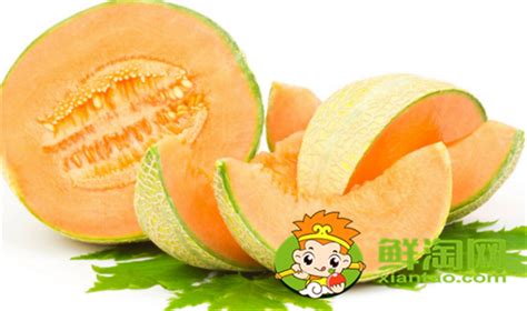 黃金瓜是熱性還是涼性水果,黃金瓜是熱性還是涼性水果呢縮略圖