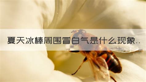 冰棍周圍冒白氣是什么現象,冰棍周圍冒白氣是什么現象 兩種縮略圖