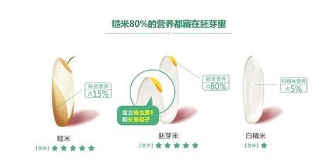 胚芽米對嬰兒真的很好嗎,胚芽米和大米的區(qū)別縮略圖
