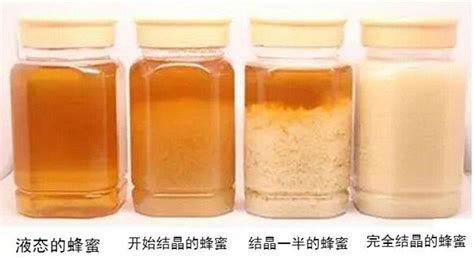 蜂巢蜜的真假鑒別,蜂巢蜜的真假鑒別方法縮略圖