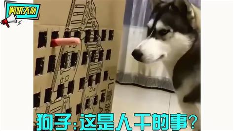 小棉襖和爸爸集錦,小棉襖和爸爸集錦小說縮略圖