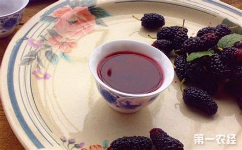 桑椹酒怎么泡制方法(桑椹酒泡制配方和比例)縮略圖