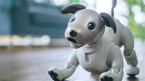 電子狗(電子狗是干什么用的)縮略圖