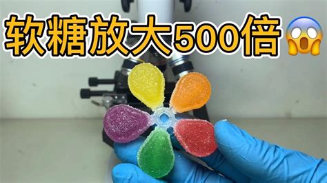 干脆面放大500倍你還敢吃嗎,干脆面放大500倍你還敢吃嗎火雞面縮略圖