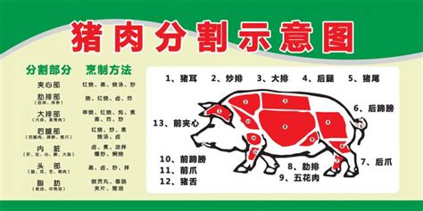 松板肉是哪個部位圖片,松板肉是哪個部位縮略圖