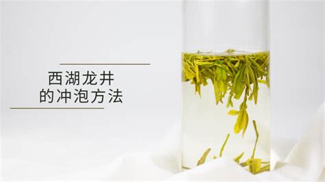 西湖龍井如何沖泡(西湖龍井如何沖泡溫度)縮略圖