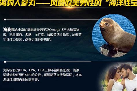 海狗丸的功能主治與用量(海狗丸的功能與藥效)縮略圖