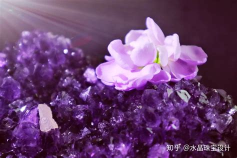 紫水晶的風水作用(紫水晶的風水作用以及擺放)縮略圖