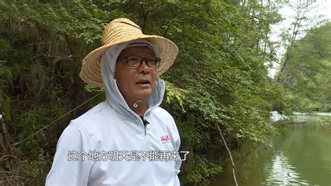 化紹新釣魚視頻野釣實戰(化紹新釣魚視頻野釣實戰大)縮略圖