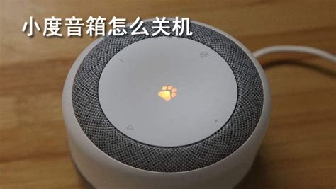 小度音箱怎么連接網絡(小度音箱怎么連接網絡使用)縮略圖