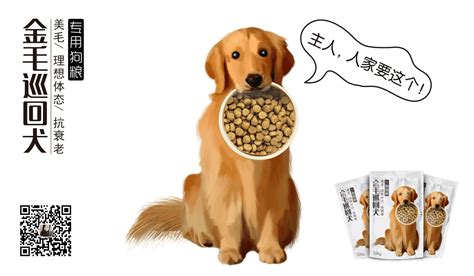 金毛幼犬狗糧什么牌子好(金毛幼犬狗糧什么牌子好用)縮略圖