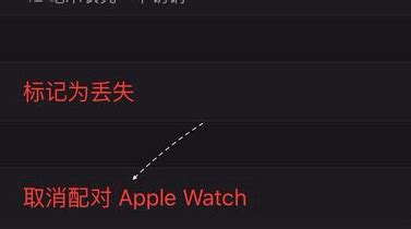 蘋果手表如何解綁重新配對(蘋果手表沒有解綁怎么二次配對)縮略圖
