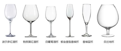 分酒器配的小酒杯一杯是多少毫升(分酒器配小酒杯一般多少毫升)縮略圖