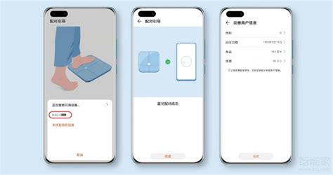 體重秤怎么連接手機測體脂,智能體重秤怎么測體脂縮略圖