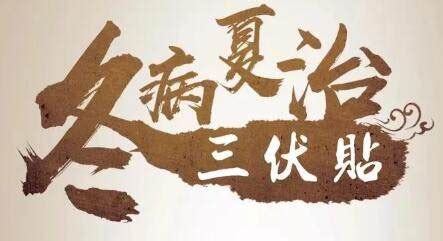 三伏貼是不是智商稅,三伏貼多少錢一個療程縮略圖