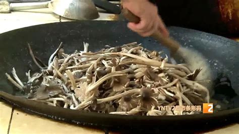 雞樅菌煮多久才熟,雞樅菌煮多久才熟透縮略圖