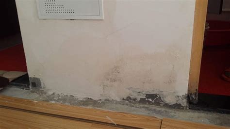墻面返潮掉皮怎么處理(衛生間墻面返潮掉皮怎么處理)縮略圖